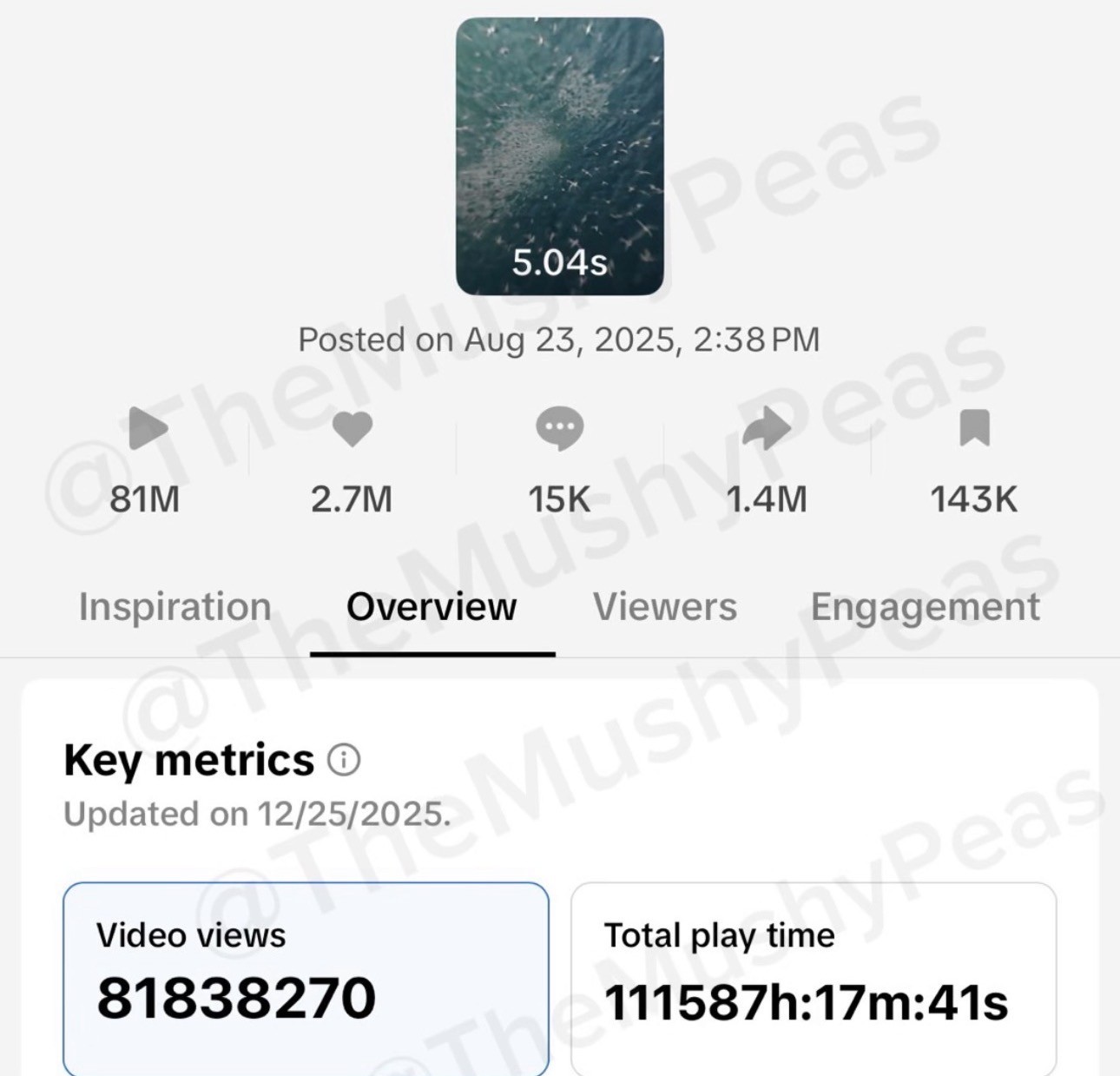 TikTok analytics screenshot showing 80M+ views